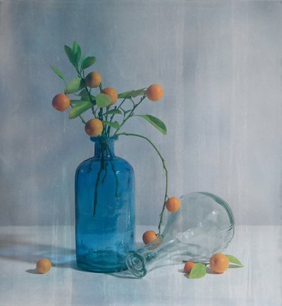Citrusy a modré lahve od Fangping Zhou