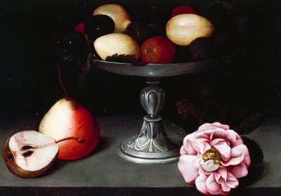 Stojan se švestkami, hruškami a růží, cca 1602, Fede Galizia (1578-1630) od Fede Galizia