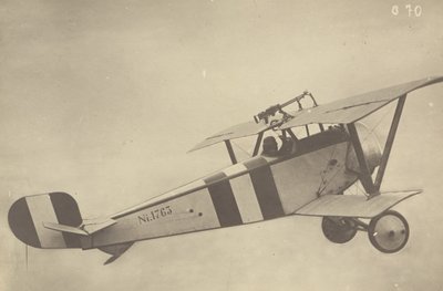 [Profil letícího Nieuportu 17 (letadlo)] od Fedele Azari