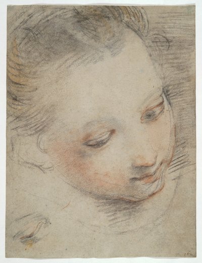 Hlava dívky, studie o postavě na oltáři Madonna del Popolo v Uffizi od Federico Barocci