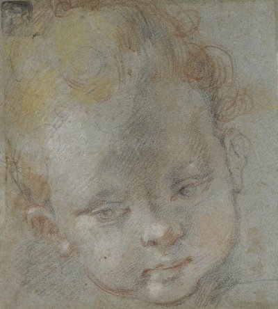 Recto: Hlava dítěte (černé, červené, bílé, růžové a žluté křídy na modrošedém papíře) od Federico Barocci