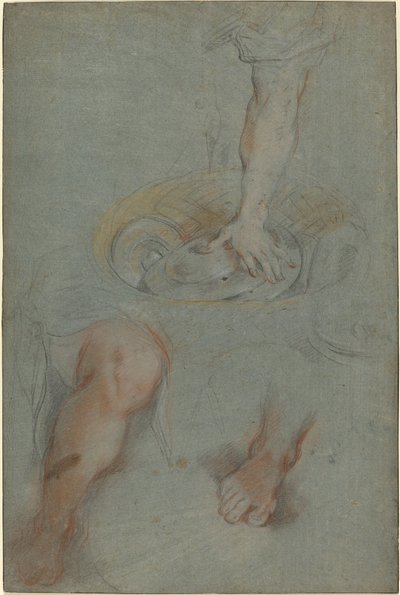 Studie pro služebníka v "Poslední večeři" od Federico Barocci