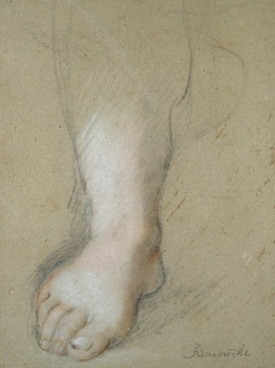 Studie nohy, konec 16. století od Federico Barocci