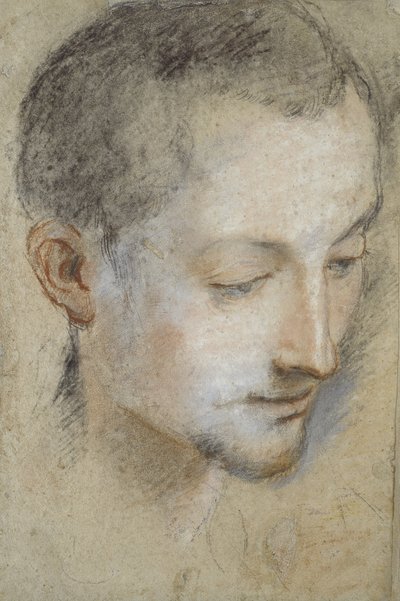 Studie hlavy mladého muže (černé, červené a růžové křídy na zašedlém papíře) od Federico Barocci