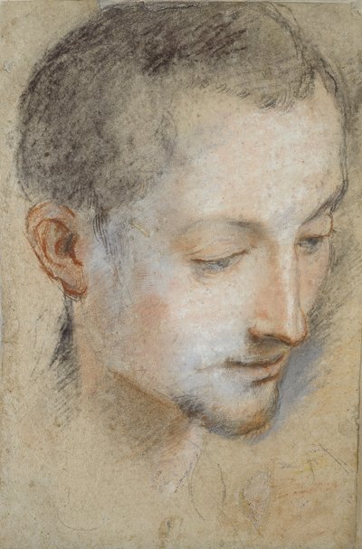Studie hlavy mladého muže, konec 16. století od Federico Barocci