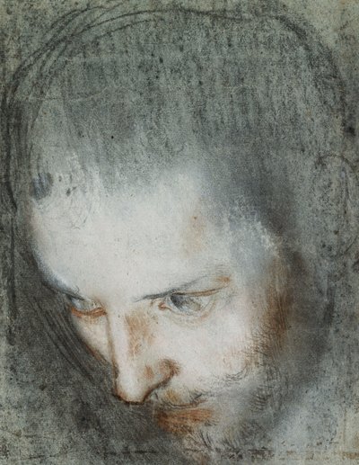 Hlava svatého Františka při pohledu nahoru doleva, od Federico Fiori Barocci or Baroccio