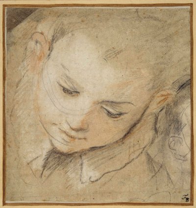 Hlava chlapce při pohledu dolů od Federico Fiori Barocci or Baroccio