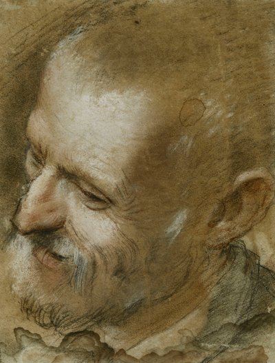 Studie hlavy vousatého muže otočené doleva, 1590 od Federico Fiori Barocci or Baroccio
