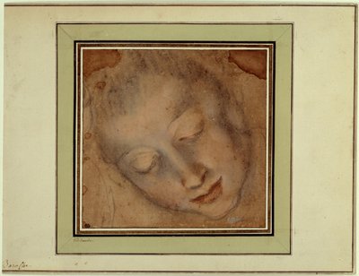 Ženská hlava s pevnýma očima Kresba krví a uhlem od Federica Barocciho zvaná Le Baroche (1526-1613). Paříž, muzeum Louvre od Federico Fiori Barocci or Baroccio