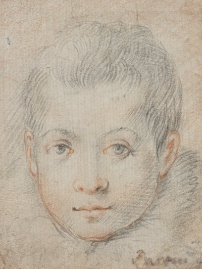 Hlava chlapce od Federico Zuccaro