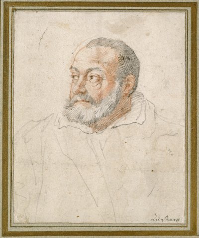 Portrét muže (červená křída a černé olovo na papíře) od Federico Zuccaro