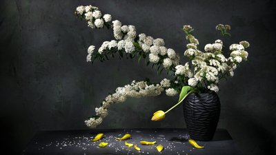 Elegantní květinové zátiší od Felice Angelino