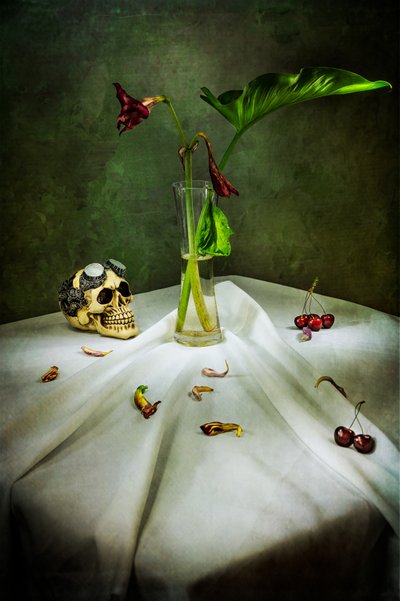 Gothic Skull Vanitas od Felice Angelino