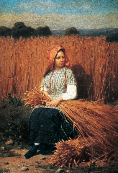 Gleaner od Felice Barucco