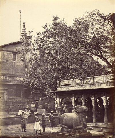 Sacred Well (Benares) od Felice Beato