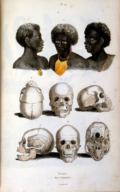 Antropologická ilustrace zobrazující etiopskou rasu od Felix-Edouard Guerin