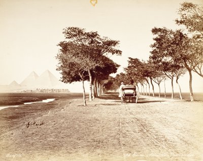 Káhira, Allee De Pyramides č. 98 od Félix Bonfils