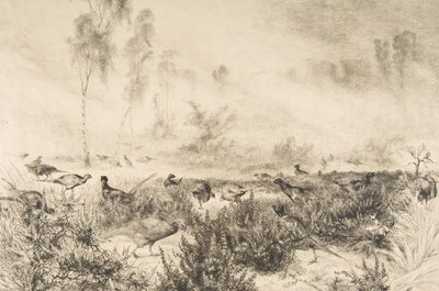 Ranní mlhy, 1882. od Felix Bracquemond