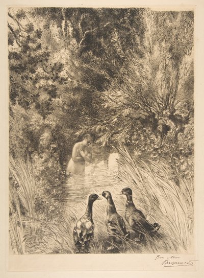 Překvapené kachny, 1882. od Felix Bracquemond
