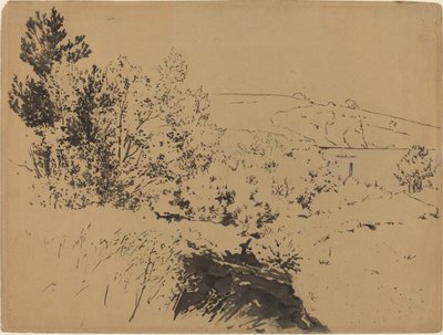 Pobřežní krajina od Felix Bracquemond