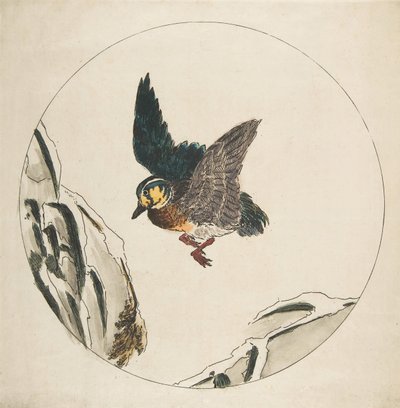 Dekorace na talíř: Kachna letící nad zasněženými větvemi, 1850-1914. od Felix Bracquemond