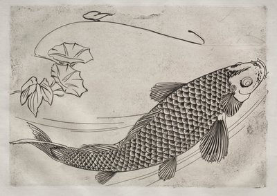 Večeře (servis Rousseau): Velká ryba v japonském stylu (č. 19) od Felix Bracquemond