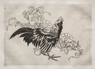 Večeře (služba Rousseau): Kohout a ranní slávy (č. 25) od Felix Bracquemond