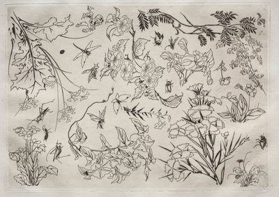 Večeře Služba Rousseau: Květiny č. 22, 1866. od Felix Bracquemond