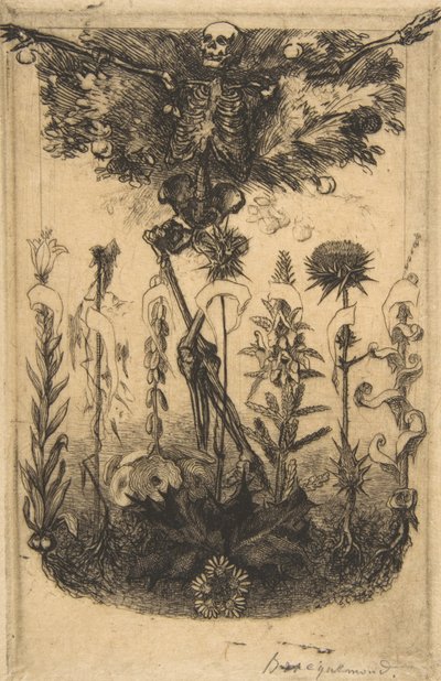 Frontispis pro Květiny zla, 1857. od Felix Bracquemond