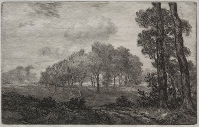 Krajina, po francouzsky od Felix Bracquemond