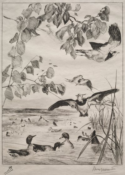 Čejky a čírky, 1862. od Felix Bracquemond