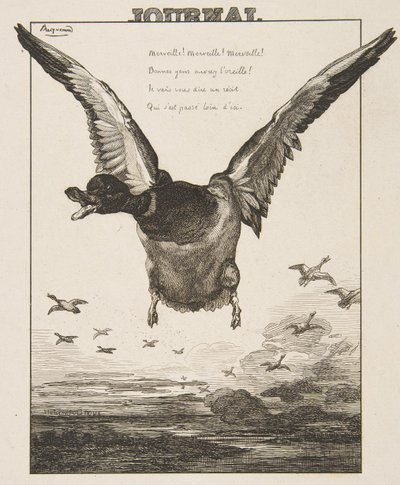Kachna, 1856. od Felix Bracquemond