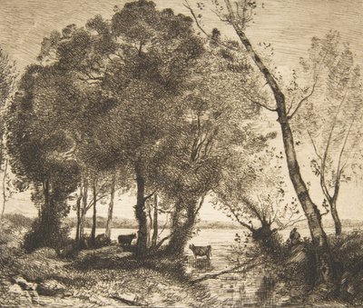 Jezero, 1861. od Felix Bracquemond