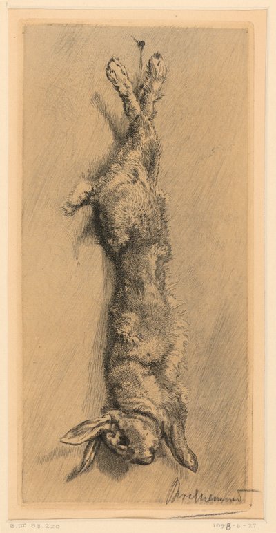 Králík Garenne od Felix Bracquemond
