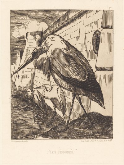 Les Cigognes (Čápi) od Felix Bracquemond