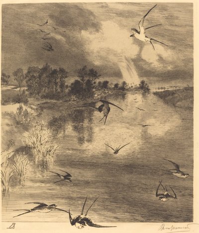 Les Hirondelles (Vlaštovky) od Felix Bracquemond