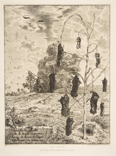 Krtci, 1854. od Felix Bracquemond
