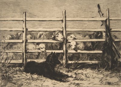 Pasené ovce, 1856. od Felix Bracquemond
