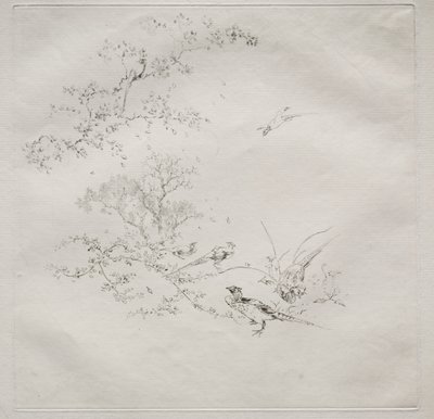 Pařížská služba (služba Haviland) od Felix Bracquemond