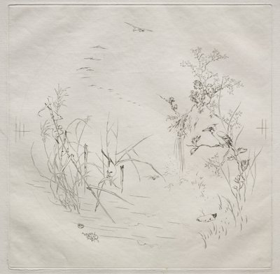 Pařížská služba (služba Haviland): klidná (č. 3) od Felix Bracquemond