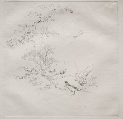Pařížská služba (služba Haviland): Mlha (č. 1) od Felix Bracquemond