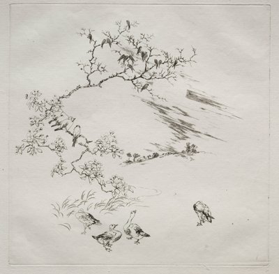 Pařížská služba (služba Haviland): Noční (č. 7) od Felix Bracquemond