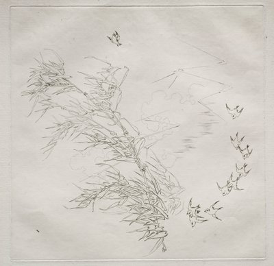 Pařížská služba (služba Haviland): The Storm (č. 8) od Felix Bracquemond
