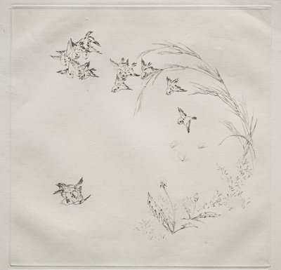 Parisian Service Haviland service: Boj č. 2, 1875. od Felix Bracquemond