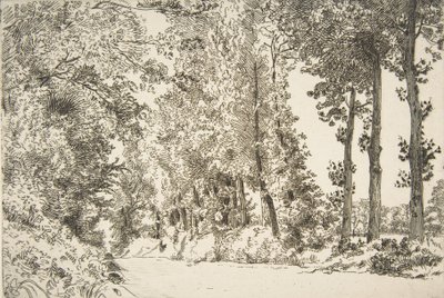 Rue des Bruyères, v Sèvres, 1868. od Felix Bracquemond