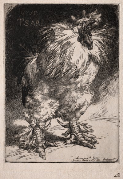 Francouzský kohout, 1893. od Felix Bracquemond