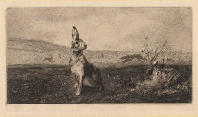 Zajíc Le Hare, 1865. od Felix Bracquemond