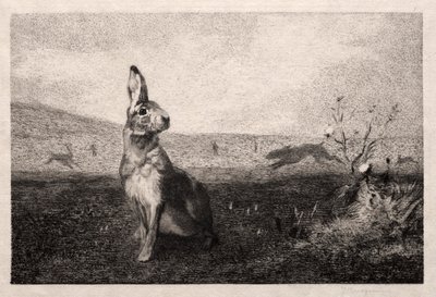 Zajíc podle A. de Balleroy, 1865. od Felix Bracquemond