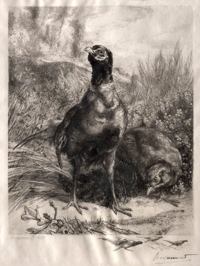 Bažanti, 1899. od Felix Bracquemond