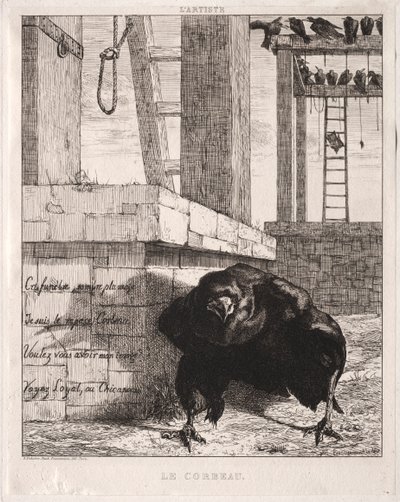 Havran, 1854. od Felix Bracquemond